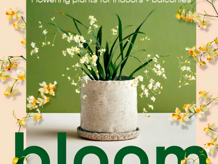 Bloom: Flowering plants for indoors and balconies Supply