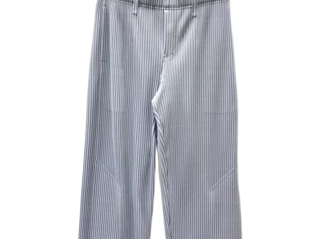 [Pre-owned] HOMME PLISSE ISSEY MIYAKE TAILORED PLEATS 1 PANTS HP33JF153 For Cheap